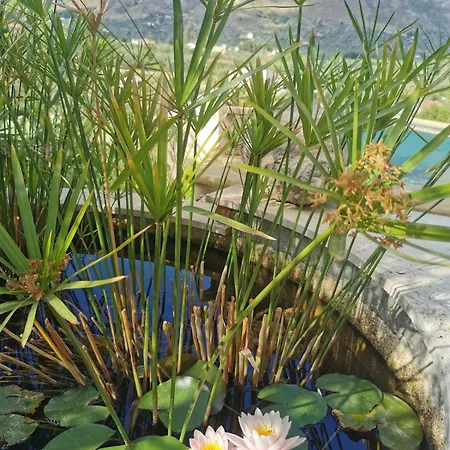 Comfortable House With Saltwater Infinity Pool Apartment *